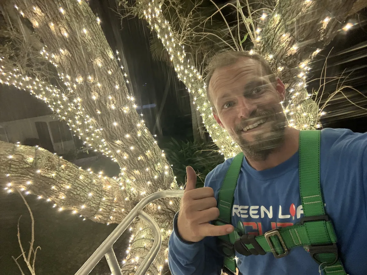 Green Life crew member in a safety harness beside a palm tree wrapped in warm white lights