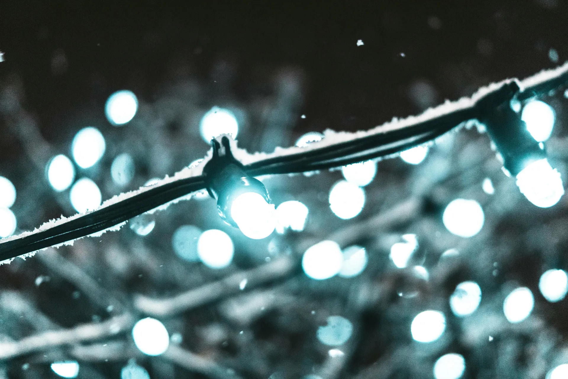 Beautiful Christmas lights display