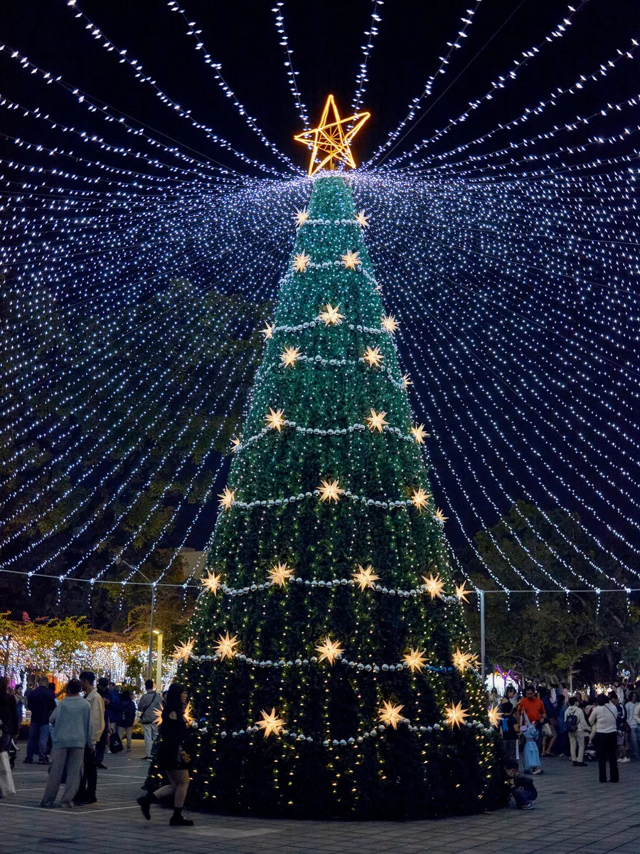 Giant outdoor Christmas tree under a canopy of lights in a public square at night